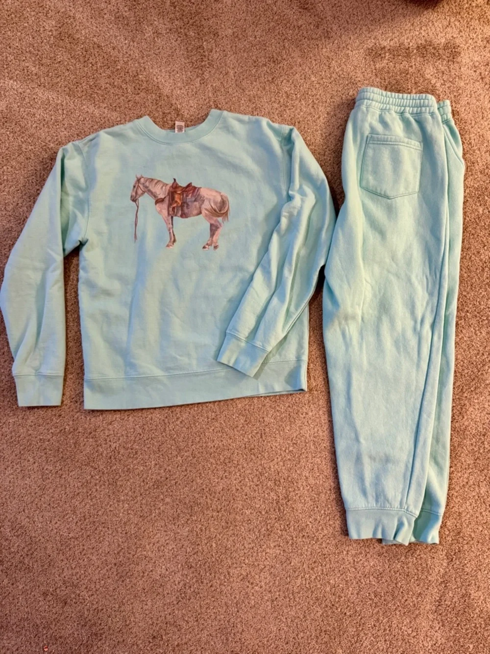Vintage Seafoam Horse Graphic Sweatshirt & Jogger Set Size Small 90s Equestrian